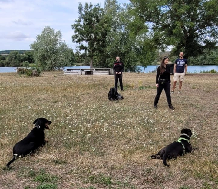 séances d'éducation canine à Tourville la Campagne4